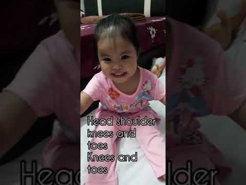 Nazira song compilation