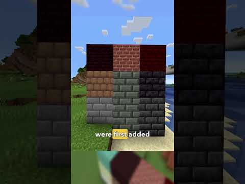 NEW Minecraft 1.21 BLOCK - Controversial Discovery!