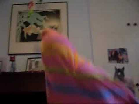 Quilt Wars ~ Episode ONE!