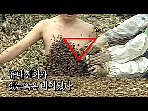 KBS 스펀지 꿀벌-휴대폰 실험 썸네일