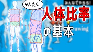  - 胴体比率を知らないのはマズイです　朝ドロ#96　着衣ドローイング 【初心者歓迎】How to remember human body ratios in three boxes.