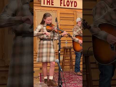 Say, Won't You Be Mine | Fiddle Break 🔥 Hollace Oakes  #Bluegrass