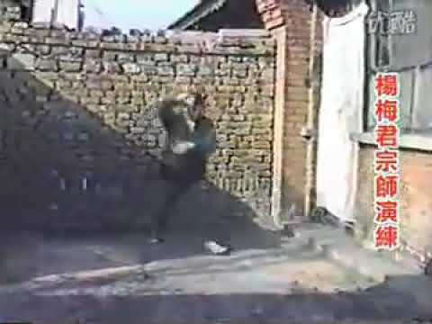 Yang Meijun - Soft Palms Qigong thumbnail