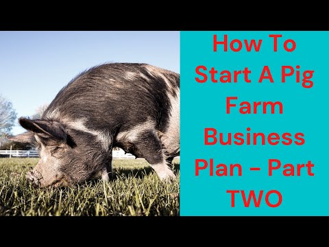 , title : 'How To Start A Pig Farm Business Plan - Part TWO'