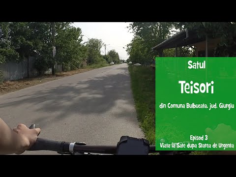 Teisori (Episod 3 / Viata la Sate Dupa Starea de Urgenta)