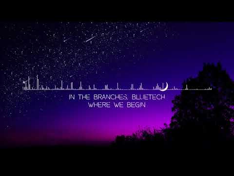 In The Branches, Bluetech - Where We Begin