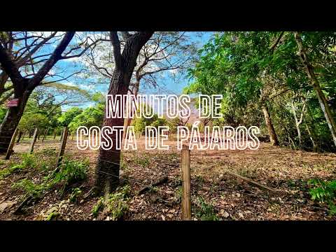 Imagen de Venta de Lotes y Terrenos en Manzanillo - Puntarenas Manzanillo - PUNTARENAS