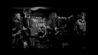 Jimbo Mathus & Tri-State Coalition - Who'll Sop My Gravy