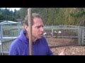Our Visit To Paul Gautschi's Back To Eden Garden ...