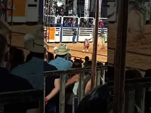 RODEIO EM Arapuá Paraná