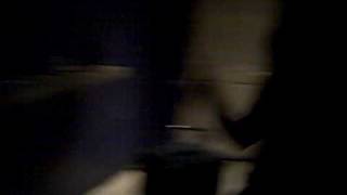 SUNSHINE RIOT - House for Bats