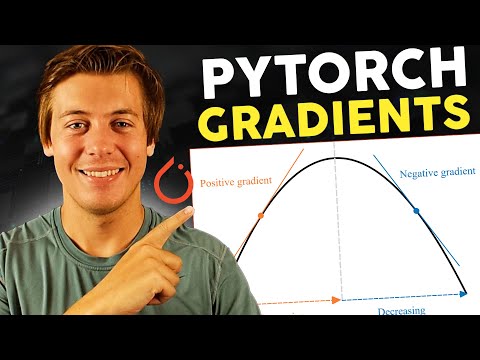 PyTorch Gradients 101: A Beginner's Guide to the Basics