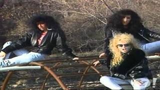 Laissez Faire   In Paradise