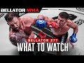 B277: Fighters You Should Be Watching | Bellator MMA