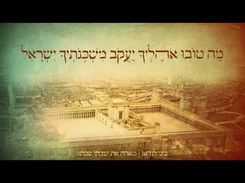 ביני לנדאו מארח את שבתי סבתו - מה טובו
