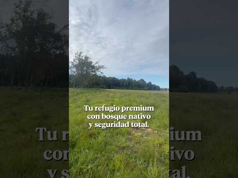 Vista a 3 volcanes y oferta única en Vista Octay #puertooctay