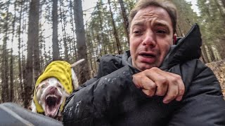 НАЛЕТЕЛА СОБАКА В ЛЕСУ! Но видео не об этом... НАЛЕТЕЛА СОБАКА В ЛЕСУ! Но видео не об этом...