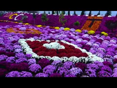 DÜNYANIN EN GÜZEL BAHÇESİ