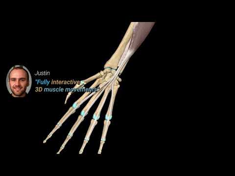 Video of Anatomy Learning