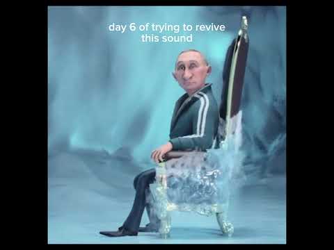 day 6 of trying to revive this sound  #shorts #revive #fyp