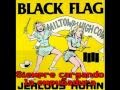 Black Flag - No values (Subtitulado - Lyrics)