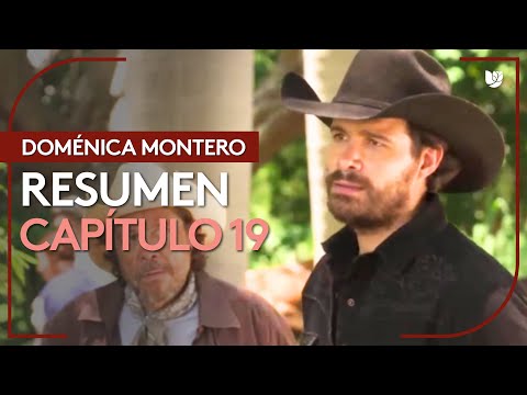 Domenica Montero | Chapter 19 - Summary