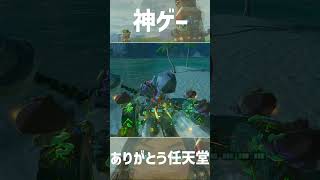 コログ使って車作った     #ゼルダの伝説ティアーズオブザキングダム