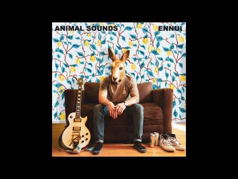 Animal Sounds - Kid Danke Schön