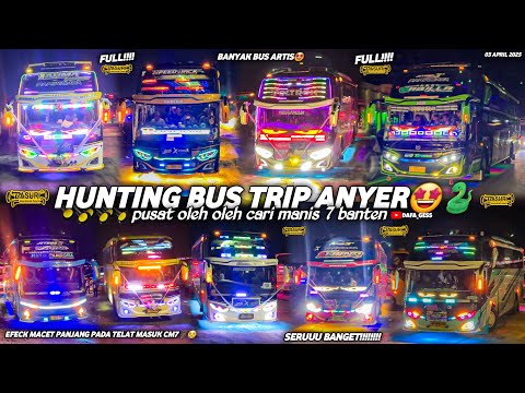 FULL TELOLET BASURI🤩hunting bus trip anyer di pusat oleh oleh cari manis 7‼️hunting sampai malam🤯