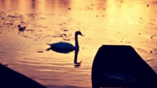 Disaster in the Universe - Beach House (MOVES Remix)