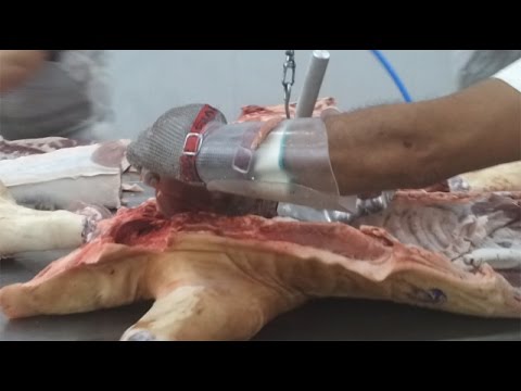 Rib Bone Saw Hydraulic | HSC 650 