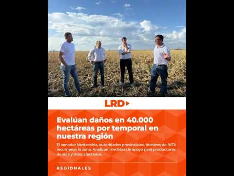 Evalúan daños en 40.000 hectáreas por temporal en Santa Fe.