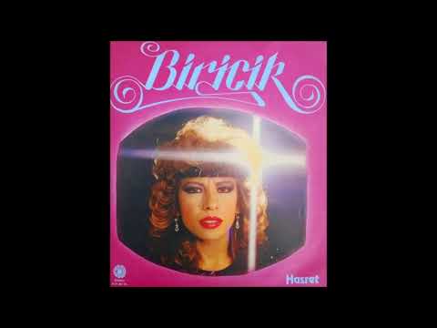 Biricik - Sorma Git ( Hasret LP )