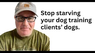 Existential Feeding Is Not What The Gurus Say It Is. (Dog Training)