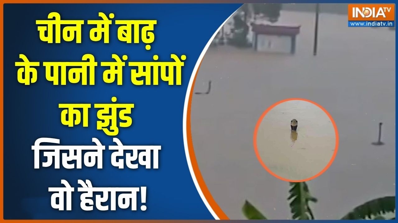 China flood news: चीन में बाढ़ के पानी में सांपों का झुंड, जिसने द
