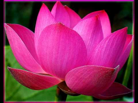 102/143-Lời Nói Đầu (Quyển 3)-Phật Học Phổ Thông-HT Thích Thiện Hoa