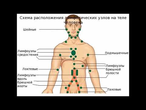 Лечение позвоночника по системе норбекова Лечение грыжи пояснично-крестцового отдела позвоночника санаторий