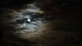 Juliane Werding Nebelmond    SaBine -Cover