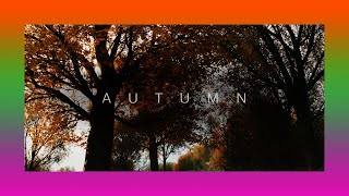 Qualify For Horizon Autumn - Pride Before The Fall | The Gables - Forza Horizon 4