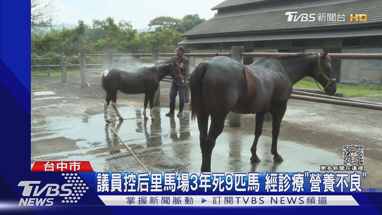 議員控后里馬場3年死9匹馬 經診療「營養不良」