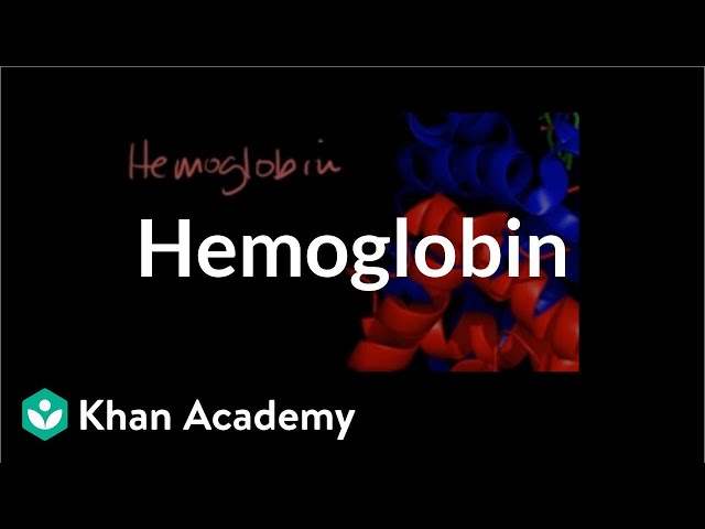 Προφορά βίντεο hemoglobin στο Αγγλικά