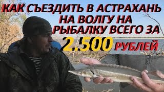 Туры на рыбалку в астрахани
