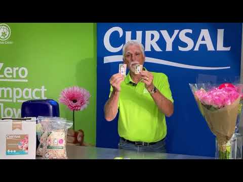 Chrysal Flower Food Sachets: Nourish Your Blooms for Vibrant, Long-Lasting Beauty