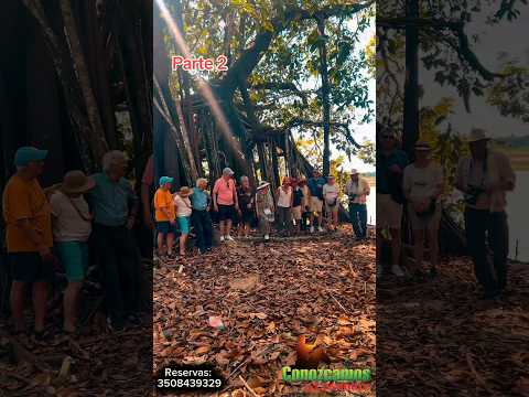 🤠Ruta maní 🇧🇫(parte 2) #manicasanare #casanareños #ConozcamosACasanare #TurismoLlanero