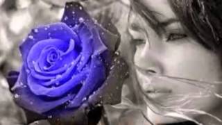 *Sei tua Sei mia* - *Pooh*