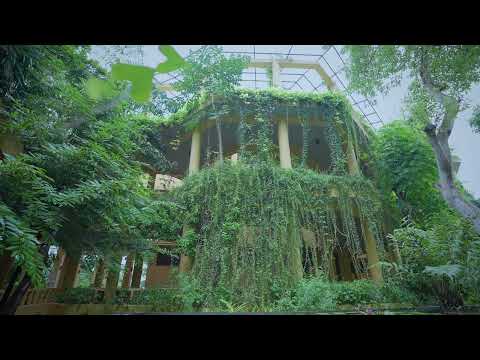 Barberyn Ayurveda Resorts