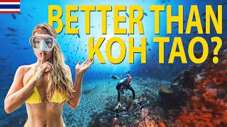Is THIS Thailand's Best-Kept DIVING SECRET? 🇹🇭