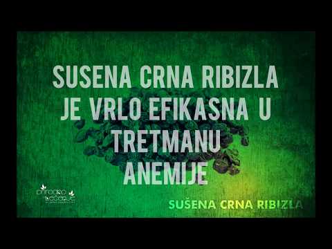 najbolja crna maca ikad