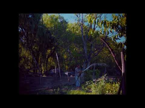 7. DOXTER LEE ft. BZR XLL - COMPROMISOS [Visualizer Oficial]