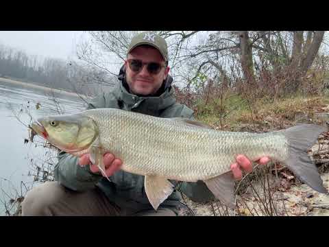 Spinning Fiume Ticino - Aspi in Inverno